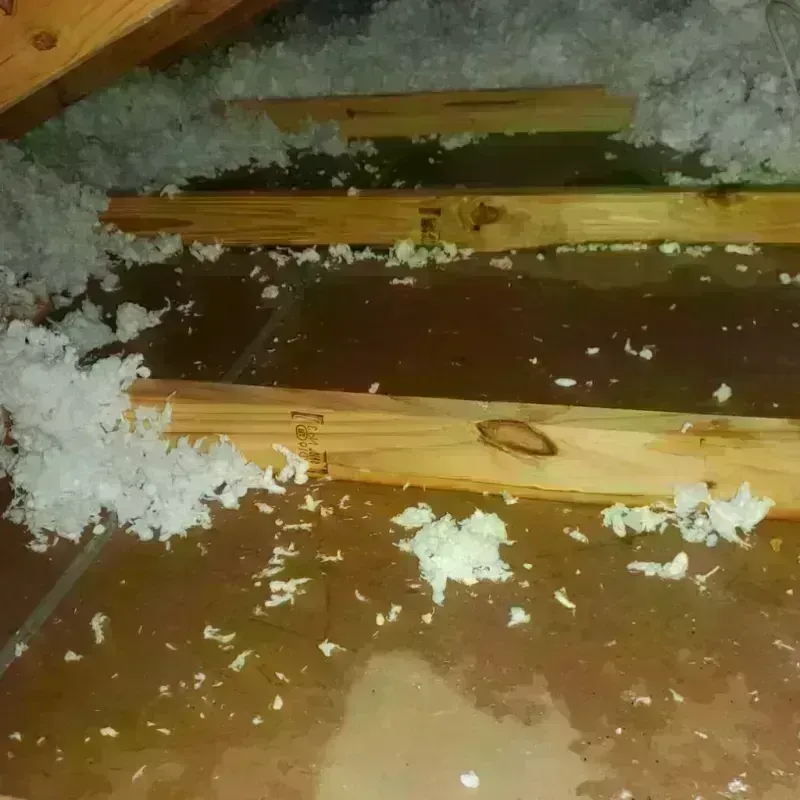 Attic Water Damage in Gang Mills, NY